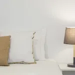 Castelo Picao * 리스본